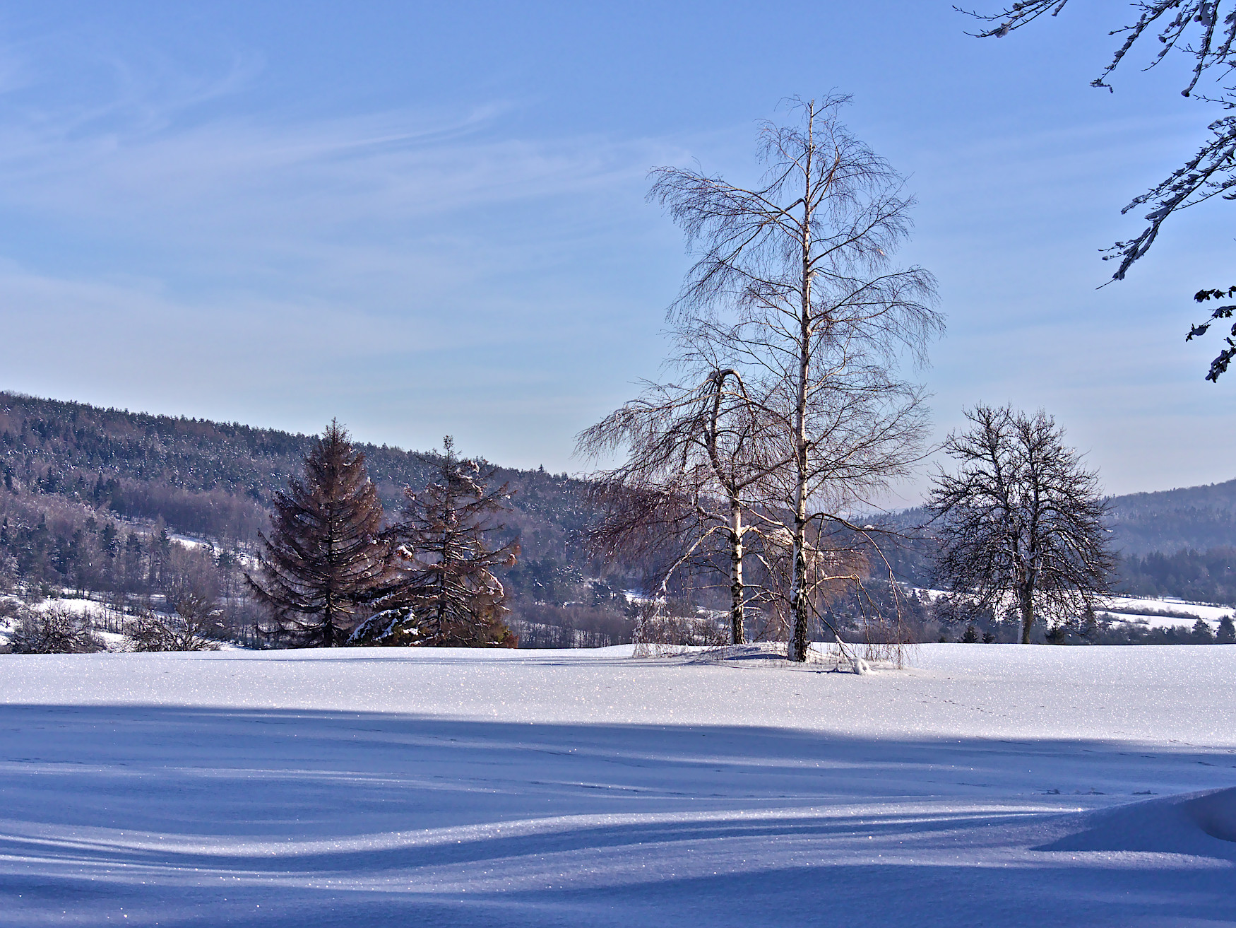 Nazwa:  wolowiec2.jpg
Wyświetleń: 172
Rozmiar:  778,9 KB