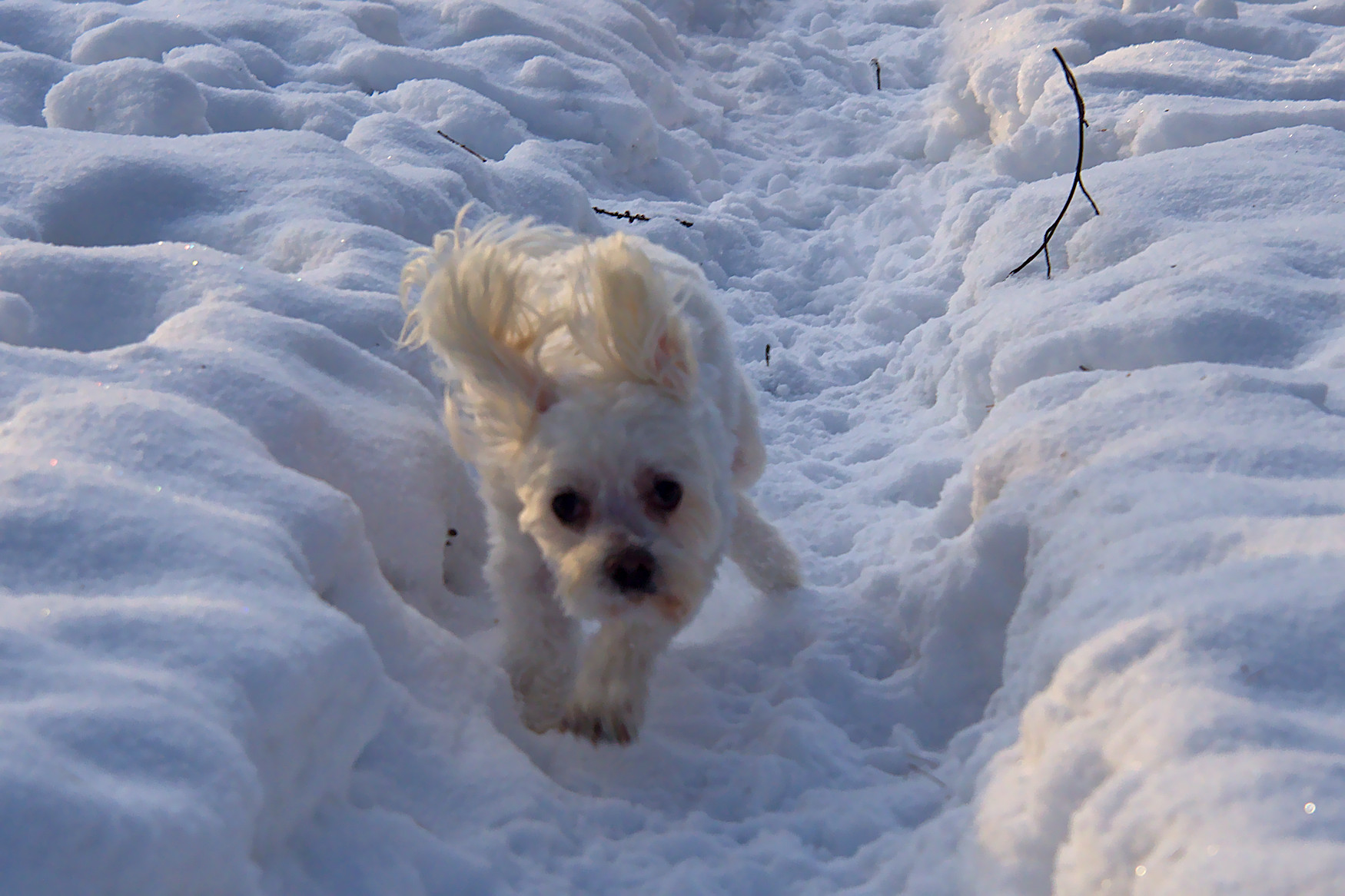 Nazwa:  P1190849.jpg
Wyświetleń: 204
Rozmiar:  438,5 KB