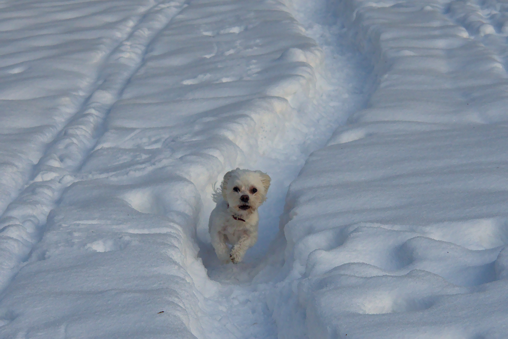 Nazwa:  P1190846.jpg
Wyświetleń: 209
Rozmiar:  460,4 KB
