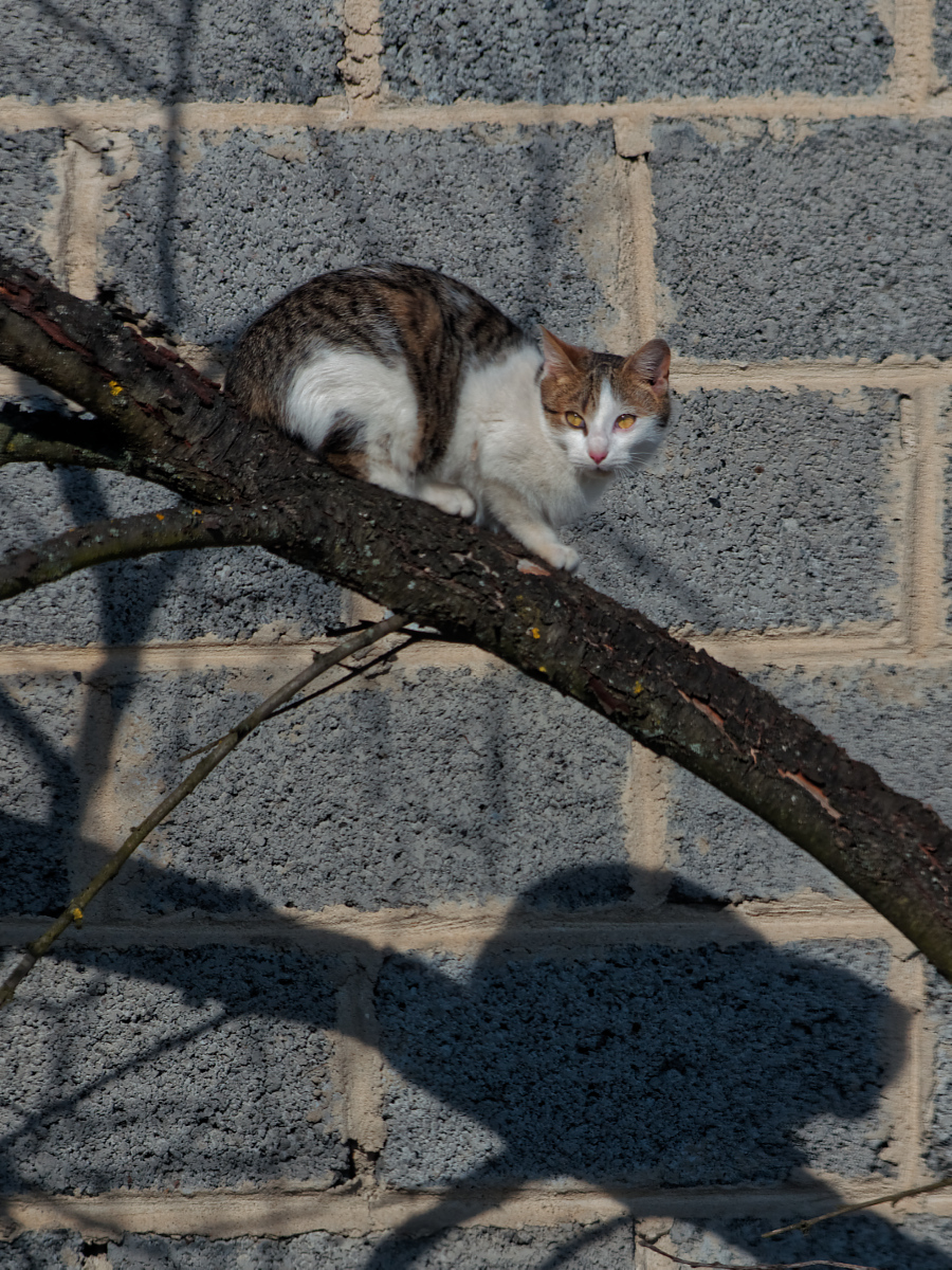 Nazwa:  07022019_TROP7551_DxO.jpg
Wyświetleń: 138
Rozmiar:  833,9 KB