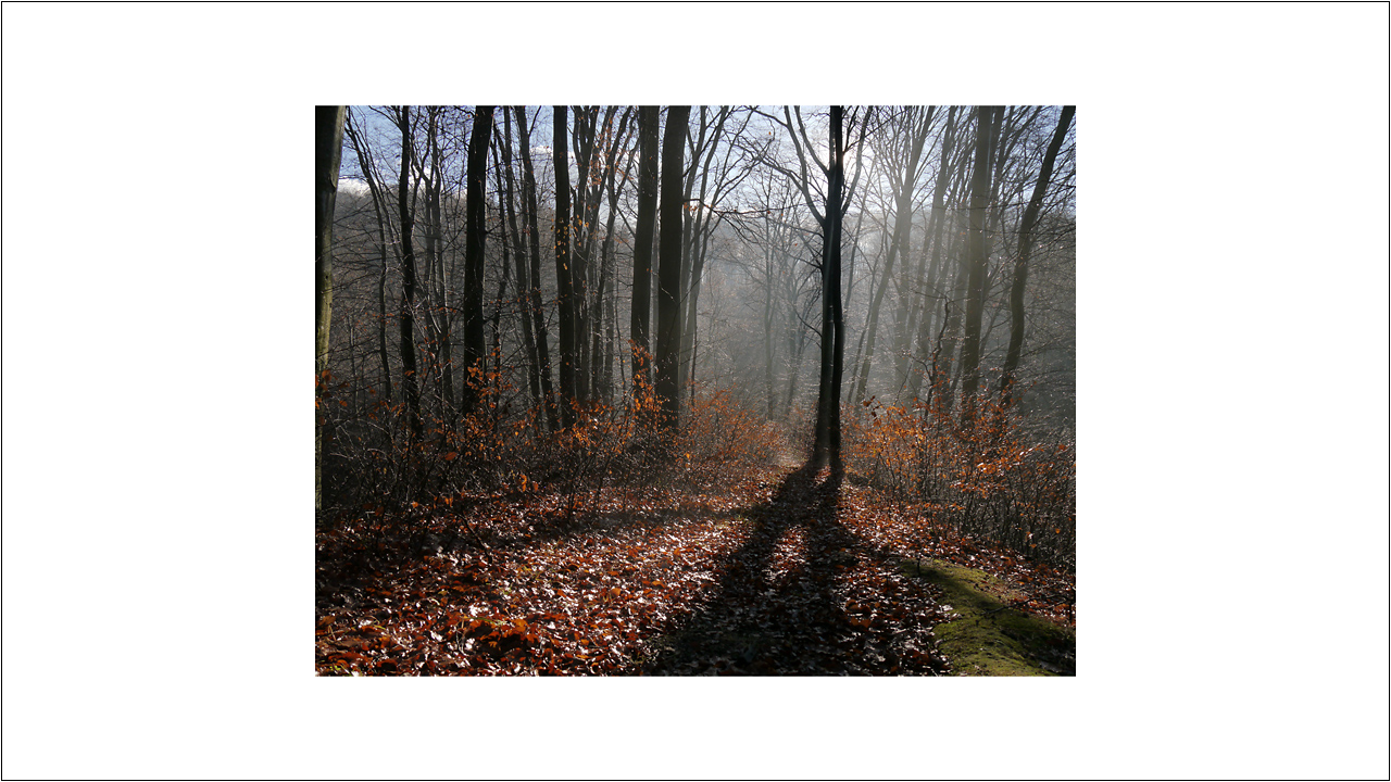 Nazwa:  foto 1400 x 1050 px na monitorze QHD .jpg
Wyświetleń: 88
Rozmiar:  463,6 KB
