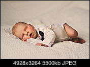 Kliknij obrazek, aby uzyskać większą wersję

Nazwa:	Stasio Avocado-3.jpg
Wyświetleń:	45
Rozmiar:	5,37 MB
ID:	208648