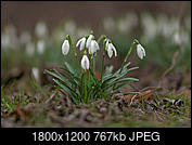 Kliknij obrazek, aby uzyskać większą wersję

Nazwa:	P3051218.jpg
Wyświetleń:	158
Rozmiar:	767,2 KB
ID:	209027