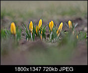 Kliknij obrazek, aby uzyskać większą wersję

Nazwa:	P3051217.jpg
Wyświetleń:	192
Rozmiar:	719,5 KB
ID:	209028