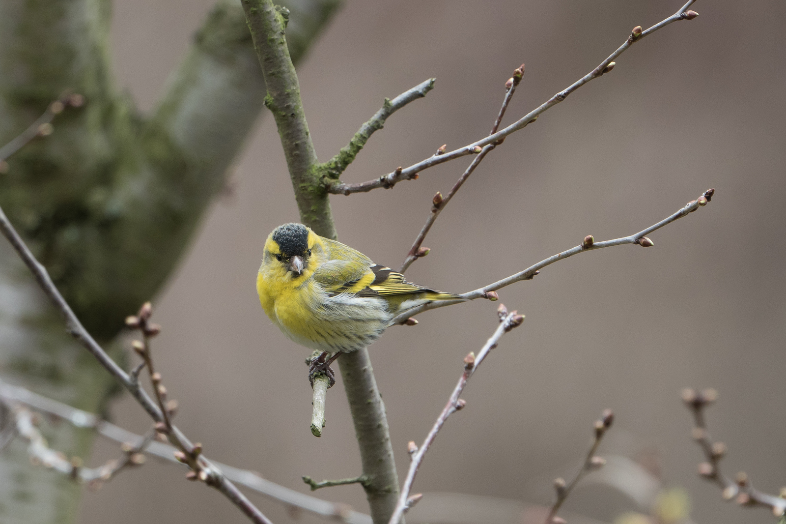 Nazwa:  _3100752.jpg
Wyświetleń: 201
Rozmiar:  837,5 KB