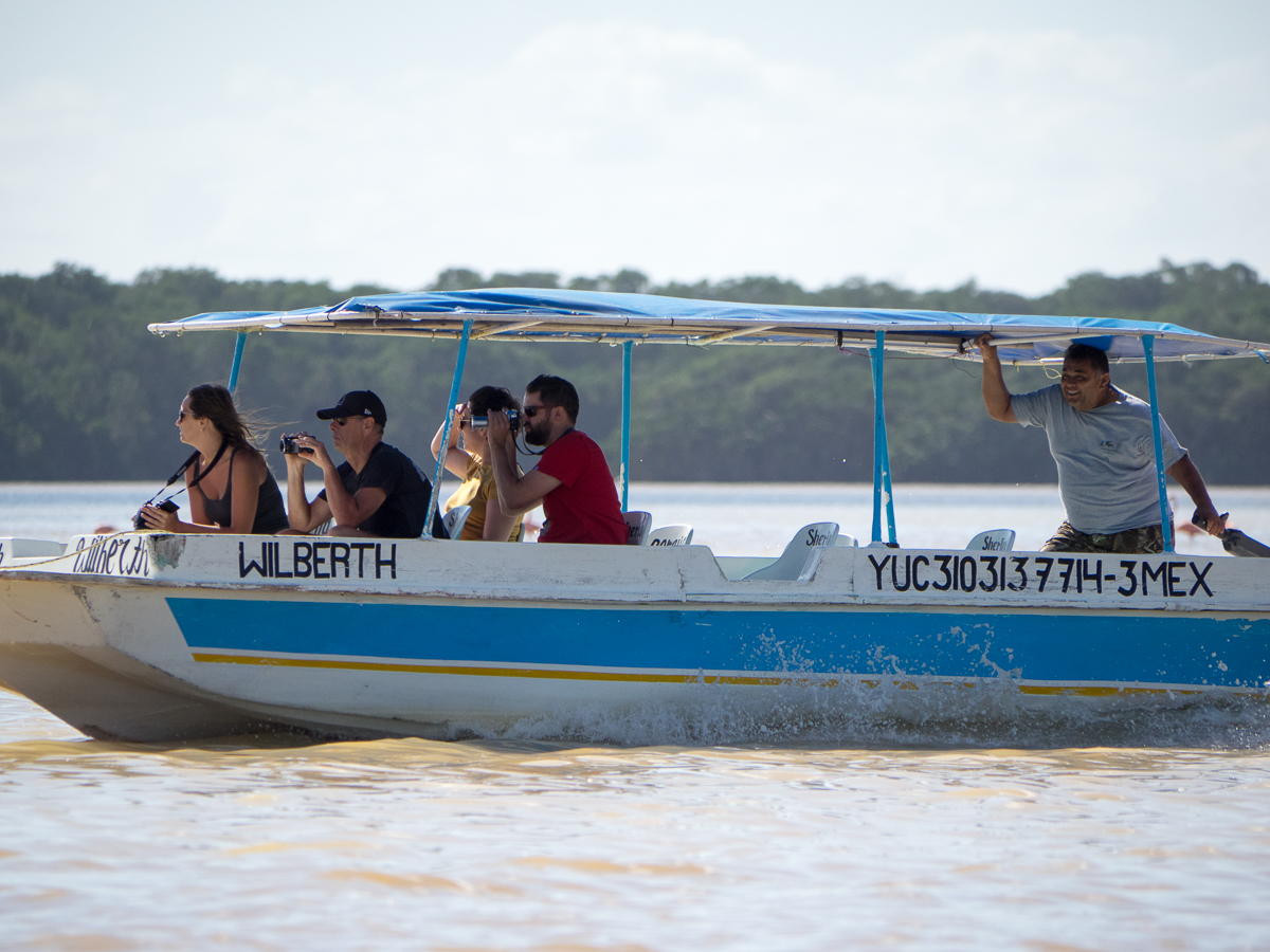 Nazwa:  P2100379.jpg
Wyświetleń: 332
Rozmiar:  684,8 KB