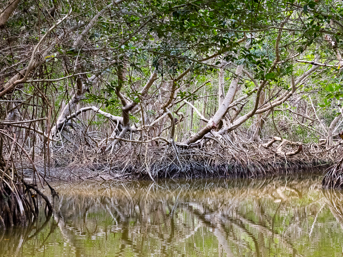 Nazwa:  P_0434.jpg
Wyświetleń: 457
Rozmiar:  1,56 MB