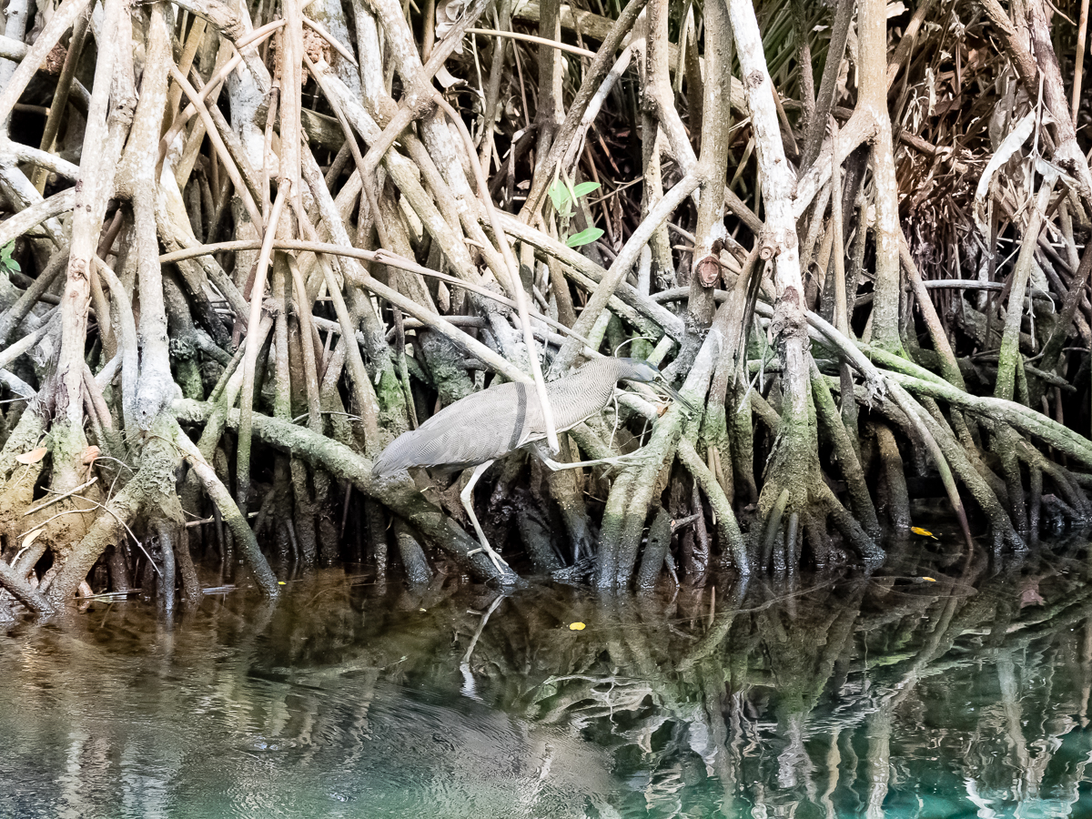 Nazwa:  P_0456.jpg
Wyświetleń: 460
Rozmiar:  1,22 MB