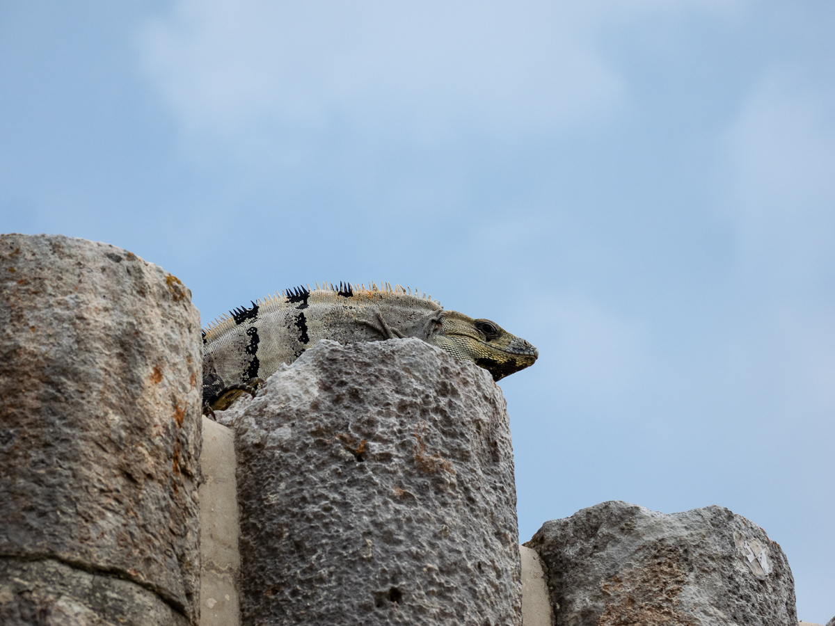 Nazwa:  P_526.jpg
Wyświetleń: 415
Rozmiar:  689,0 KB