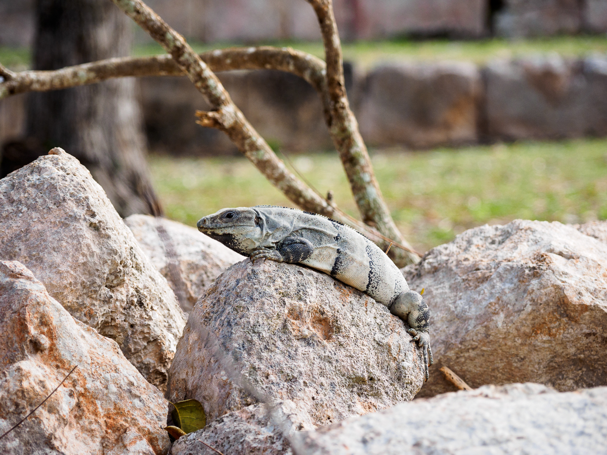 Nazwa:  P_544.jpg
Wyświetleń: 428
Rozmiar:  1,05 MB