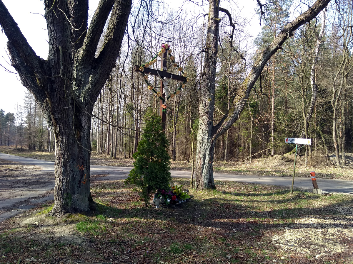 Nazwa:  IMG_20190330_131119501.jpg
Wyświetleń: 173
Rozmiar:  849,8 KB