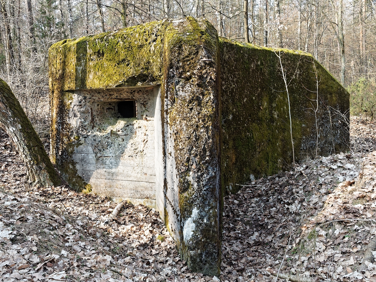 Nazwa:  Mława1.jpg
Wyświetleń: 216
Rozmiar:  1,80 MB