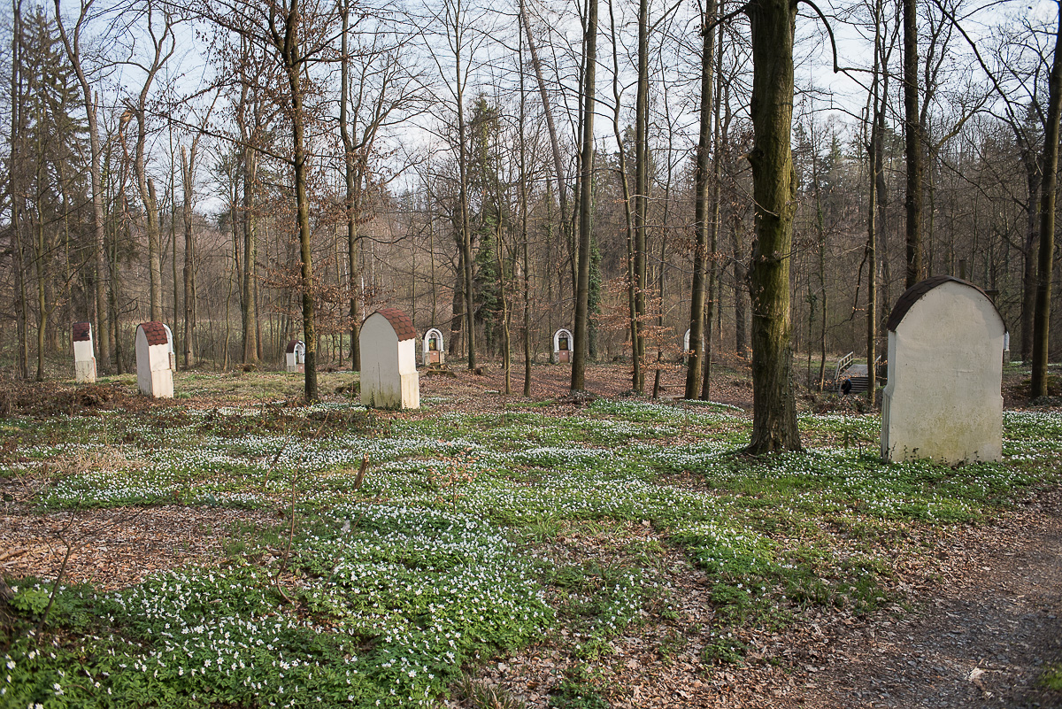 Nazwa:  Of-380.jpg
Wyświetleń: 184
Rozmiar:  864,8 KB