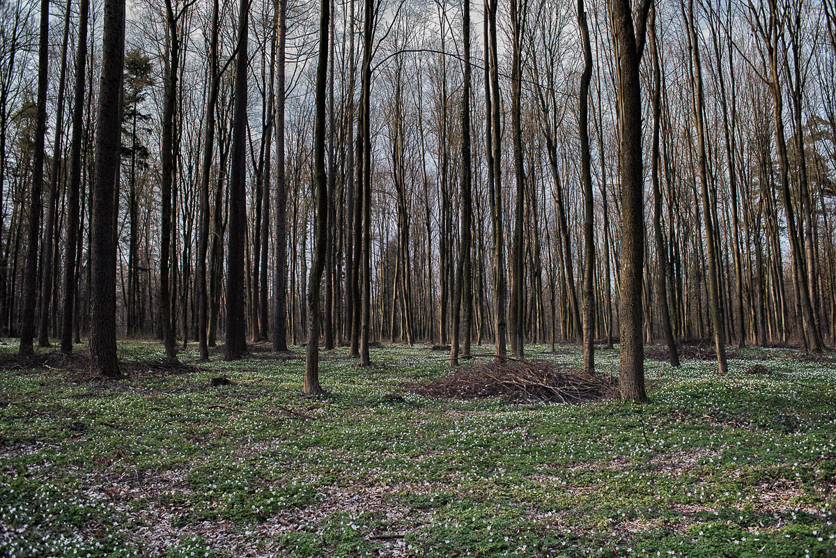 Nazwa:  Of-381.jpg
Wyświetleń: 198
Rozmiar:  707,1 KB