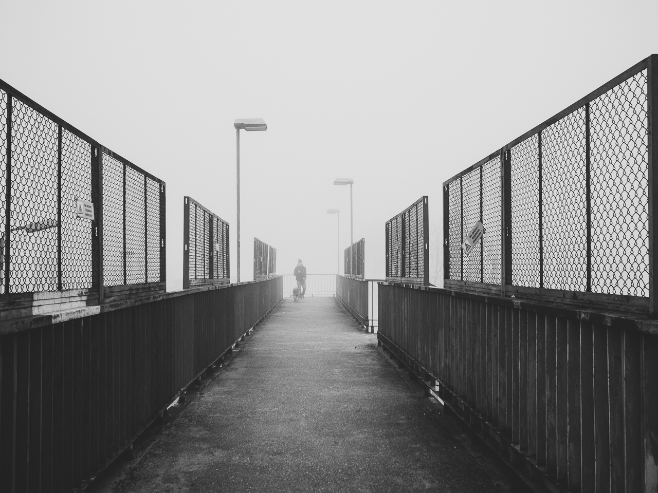 Nazwa:  P2030094_web.jpg
Wyświetleń: 196
Rozmiar:  493,2 KB