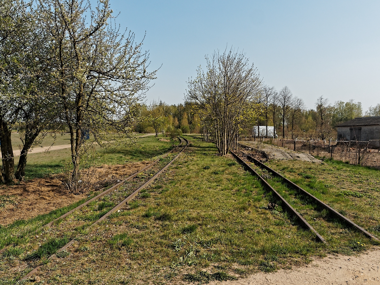Nazwa:  P4230263dxo_hf.jpg
Wyświetleń: 187
Rozmiar:  1,62 MB