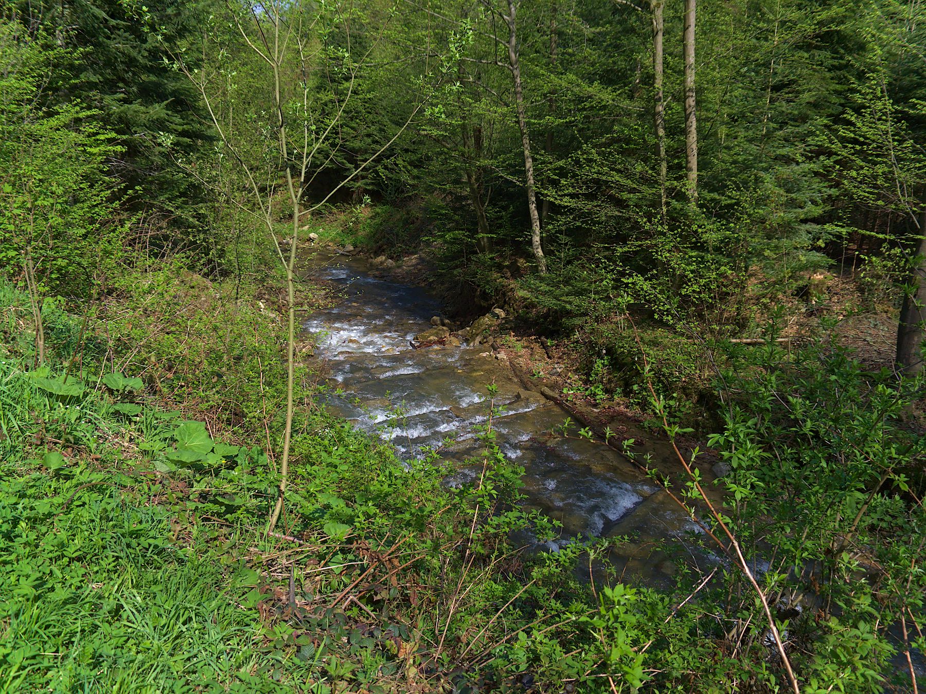 Nazwa:  P5011574.jpg
Wyświetleń: 251
Rozmiar:  870,0 KB