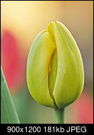 Kliknij obrazek, aby uzyskać większą wersję

Nazwa:	Jeszcze się tuli.jpg
Wyświetleń:	36
Rozmiar:	180,6 KB
ID:	211154