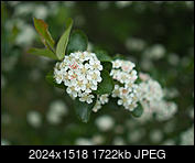 Kliknij obrazek, aby uzyskać większą wersję

Nazwa:	P5060041.jpg
Wyświetleń:	63
Rozmiar:	1,68 MB
ID:	211202