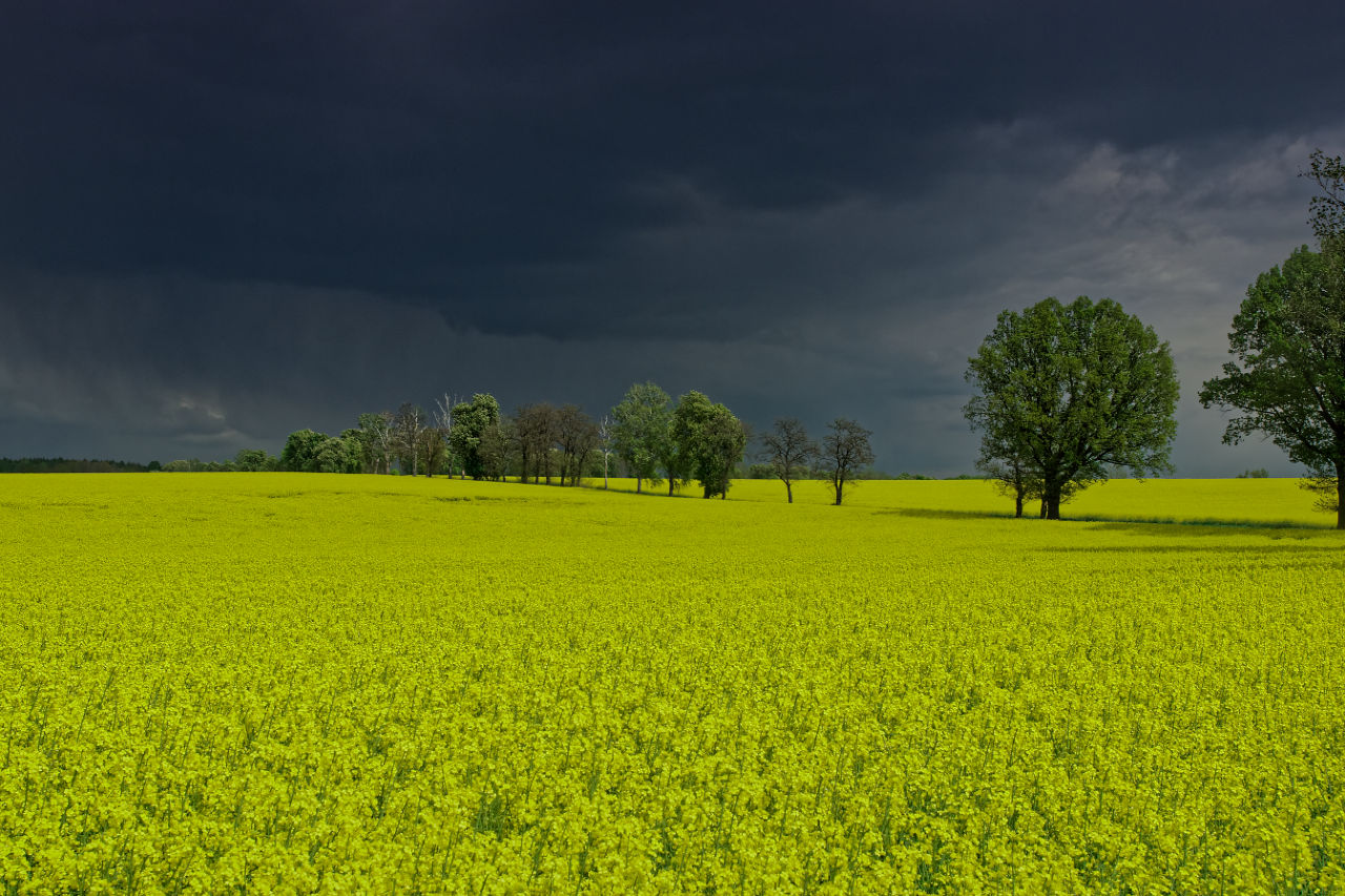 Nazwa:  07052019_TROP9148_DxO.jpg
Wyświetleń: 201
Rozmiar:  268,6 KB