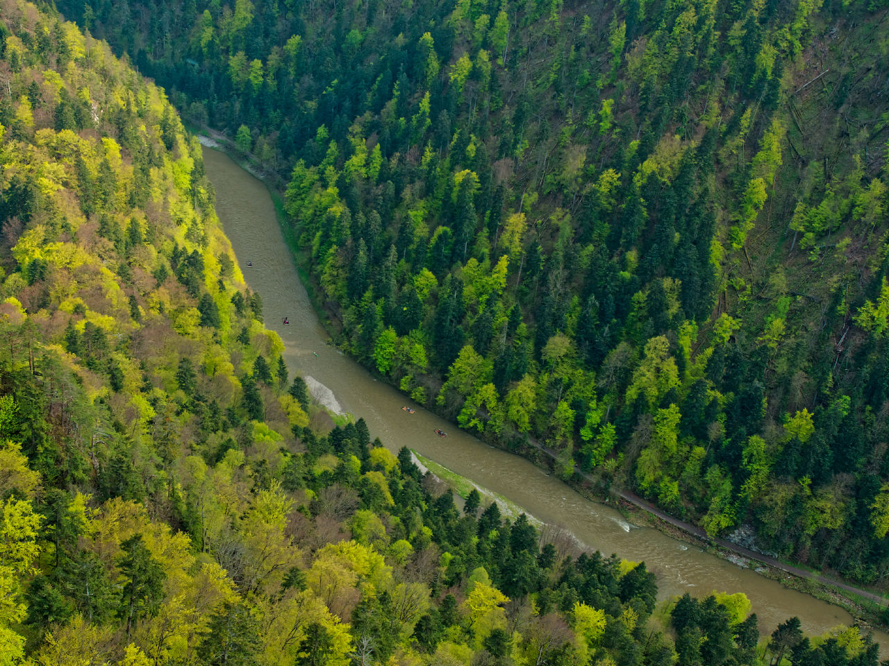 Nazwa:  02052019_TROP8891_DxO.jpg
Wyświetleń: 316
Rozmiar:  420,5 KB