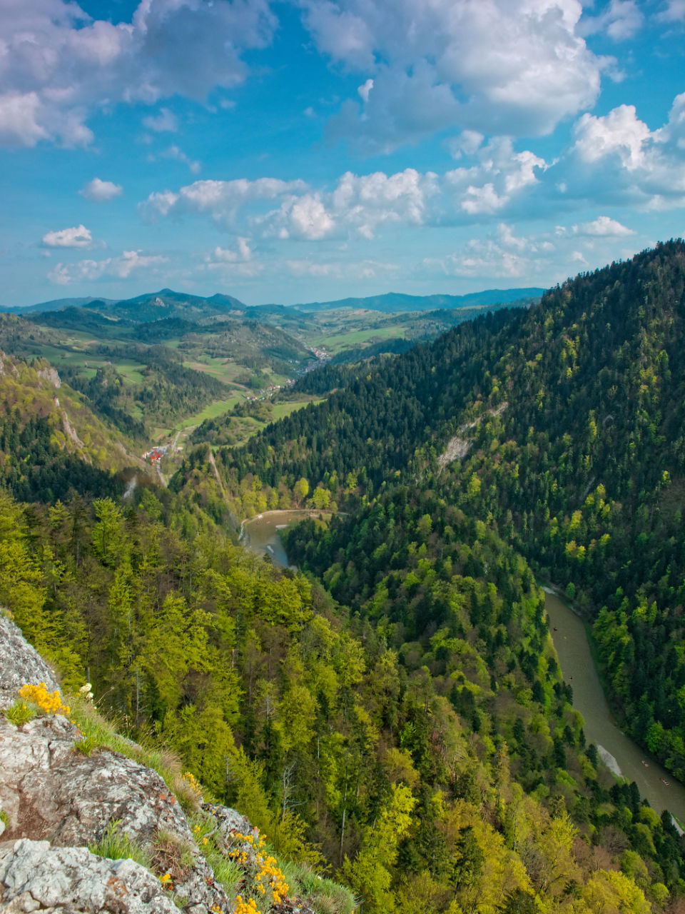 Nazwa:  02052019_TROP8908_DxO.jpg
Wyświetleń: 271
Rozmiar:  309,2 KB