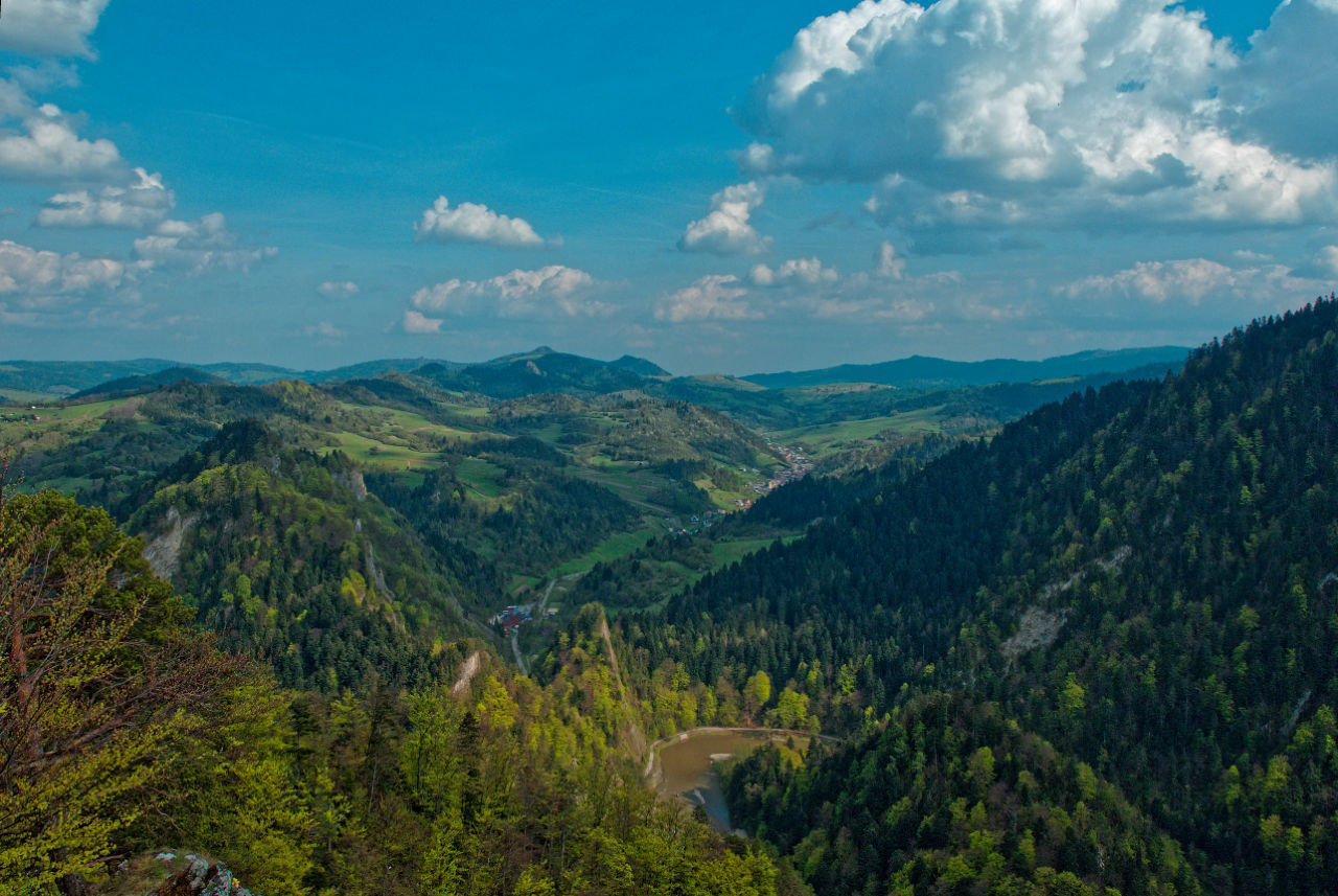 Nazwa:  02052019_TROP8892_DxO.jpg
Wyświetleń: 275
Rozmiar:  254,5 KB