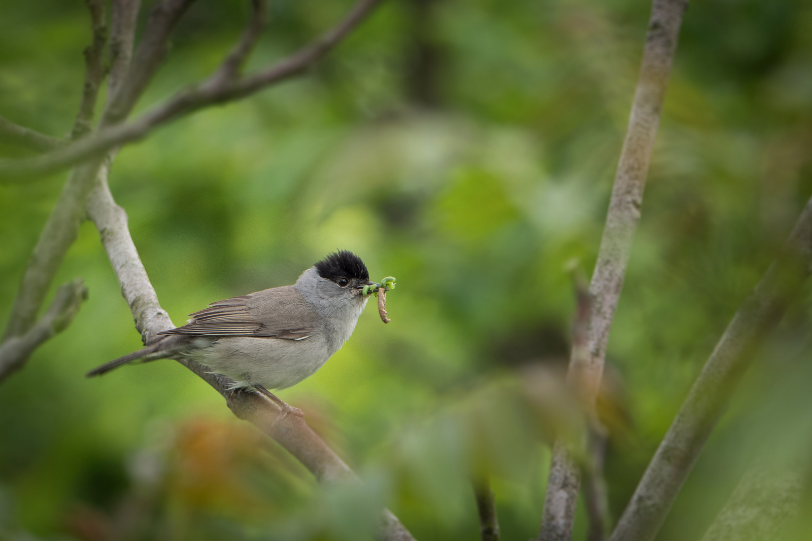 Nazwa:  P1038180.jpg
Wyświetleń: 293
Rozmiar:  570,7 KB