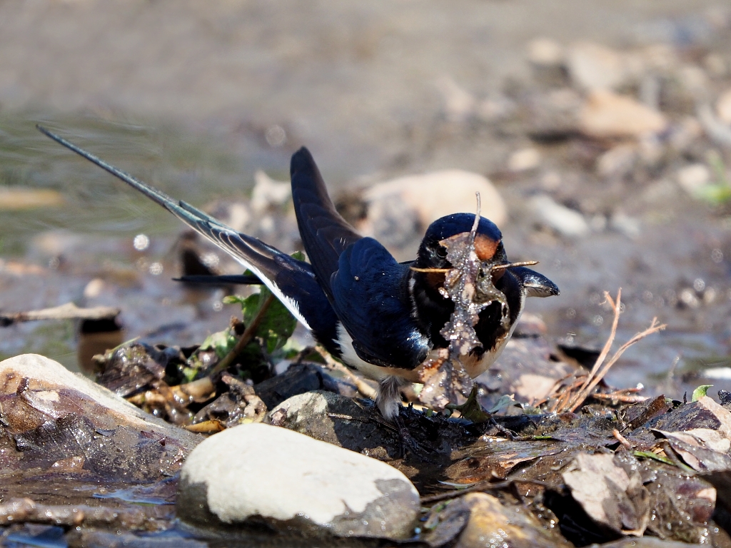 Nazwa:  P5246007x.jpg
Wyświetleń: 244
Rozmiar:  535,4 KB