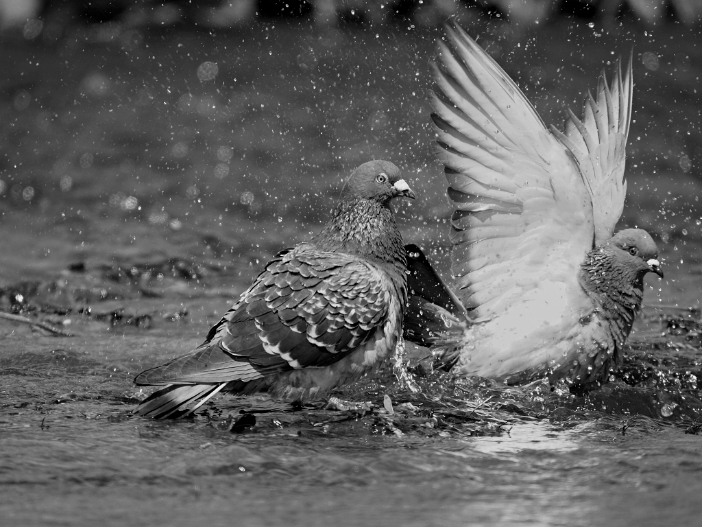 Nazwa:  P5245773.jpg
Wyświetleń: 194
Rozmiar:  494,8 KB