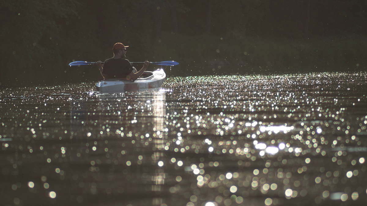 Nazwa:  P5180893.jpg
Wyświetleń: 137
Rozmiar:  224,8 KB