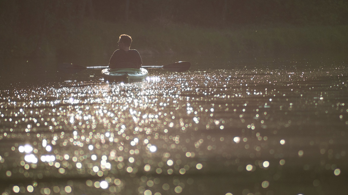 Nazwa:  P5180897.jpg
Wyświetleń: 118
Rozmiar:  206,9 KB