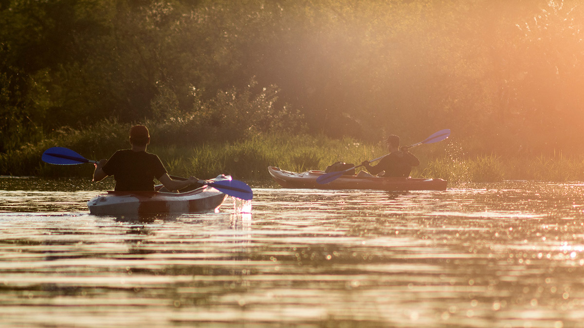 Nazwa:  P5181025.jpg
Wyświetleń: 163
Rozmiar:  219,6 KB