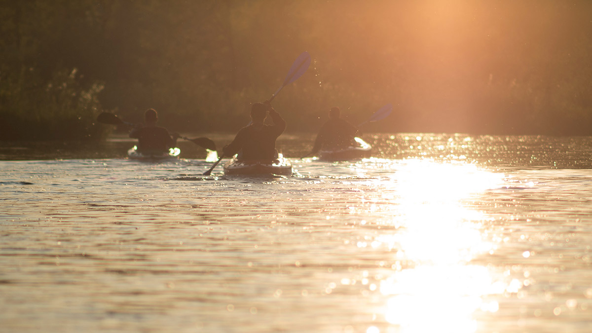 Nazwa:  P5181028.jpg
Wyświetleń: 145
Rozmiar:  147,2 KB