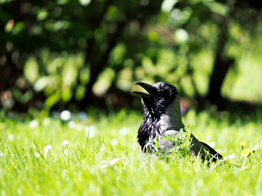 Nazwa:  P6025706.jpg
Wyświetleń: 433
Rozmiar:  550,5 KB