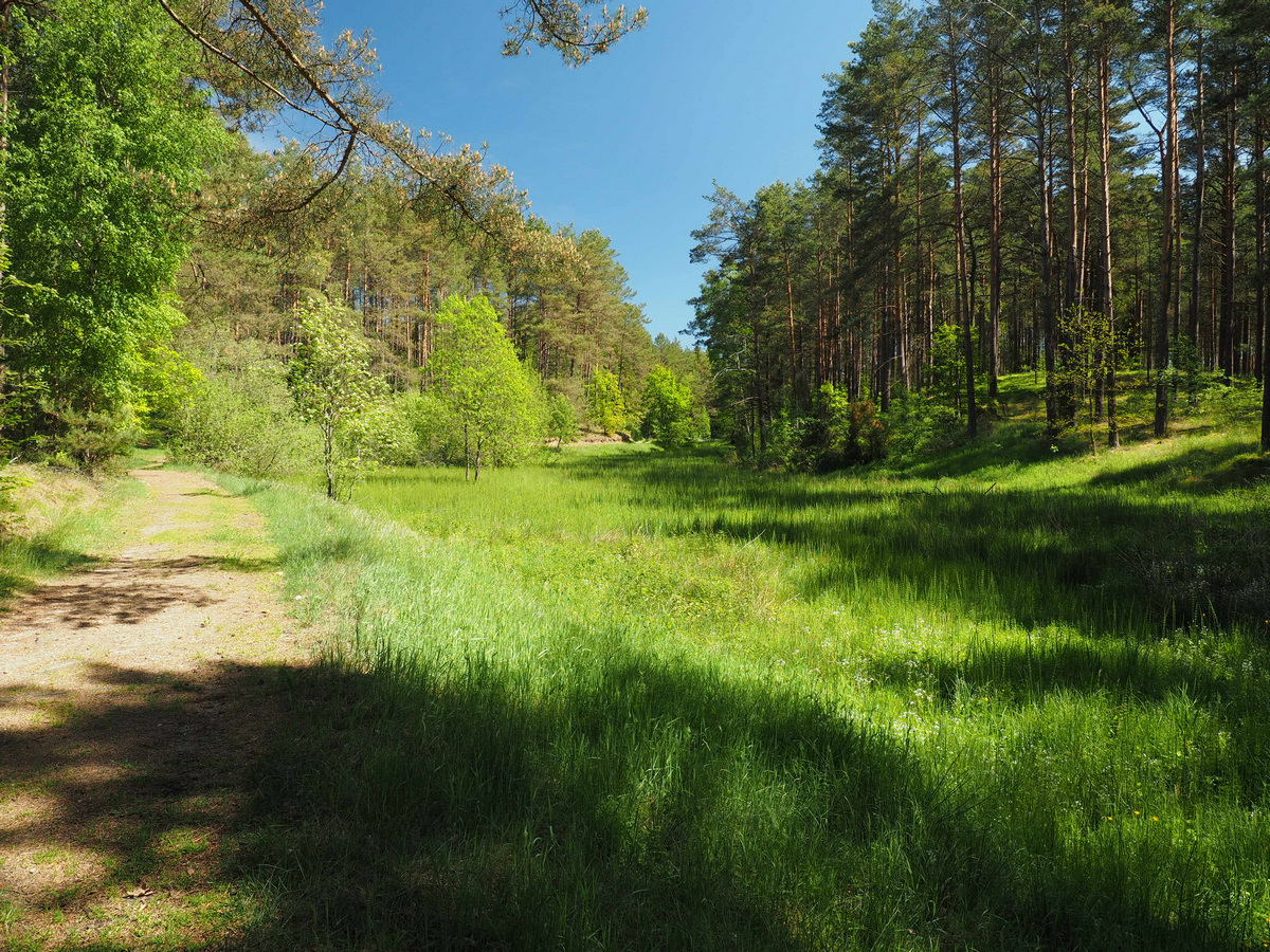 Nazwa:  Węsiory 02 06 2019_3.jpg
Wyświetleń: 198
Rozmiar:  799,6 KB