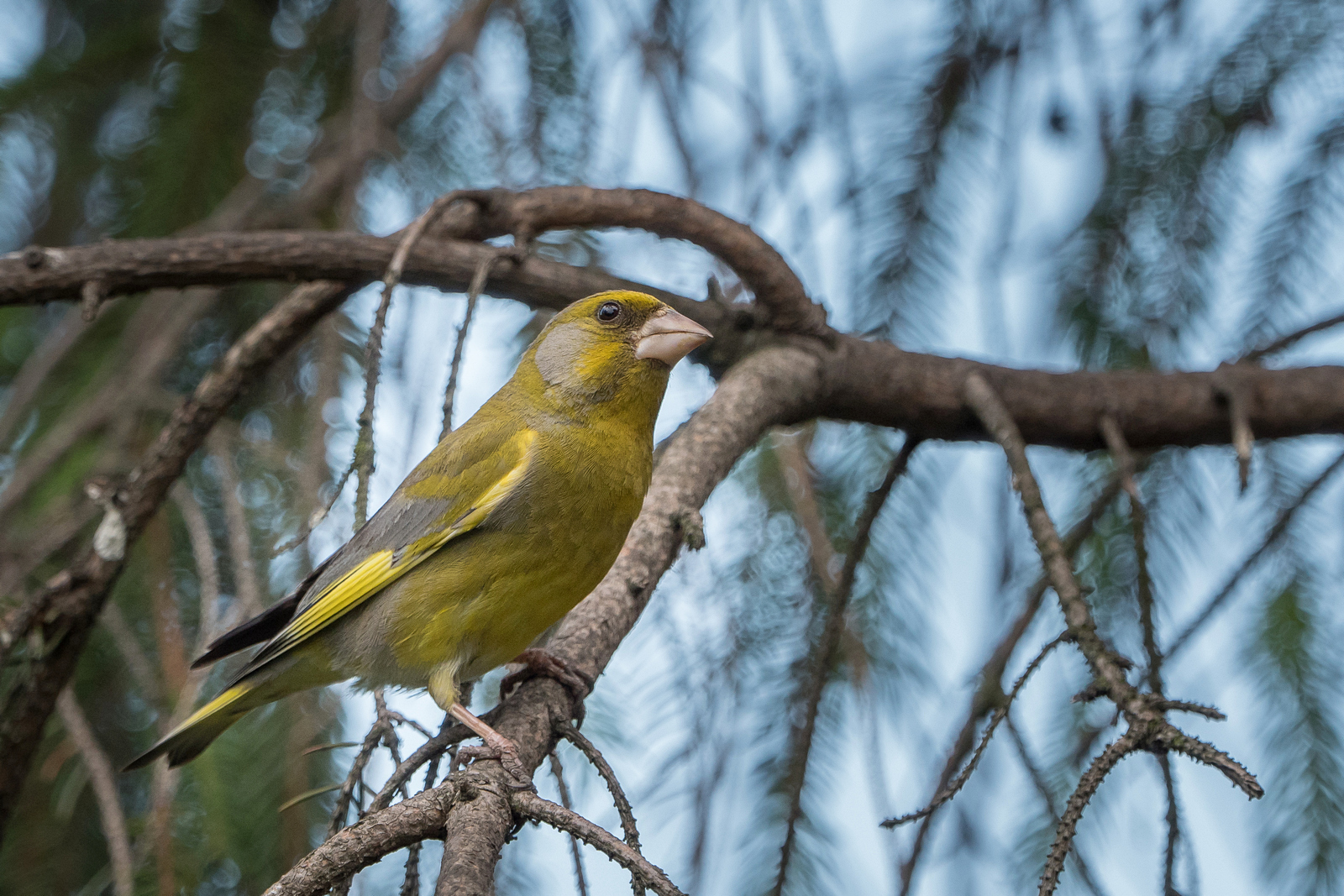 Nazwa:  P1038694.jpg
Wyświetleń: 201
Rozmiar:  1,10 MB