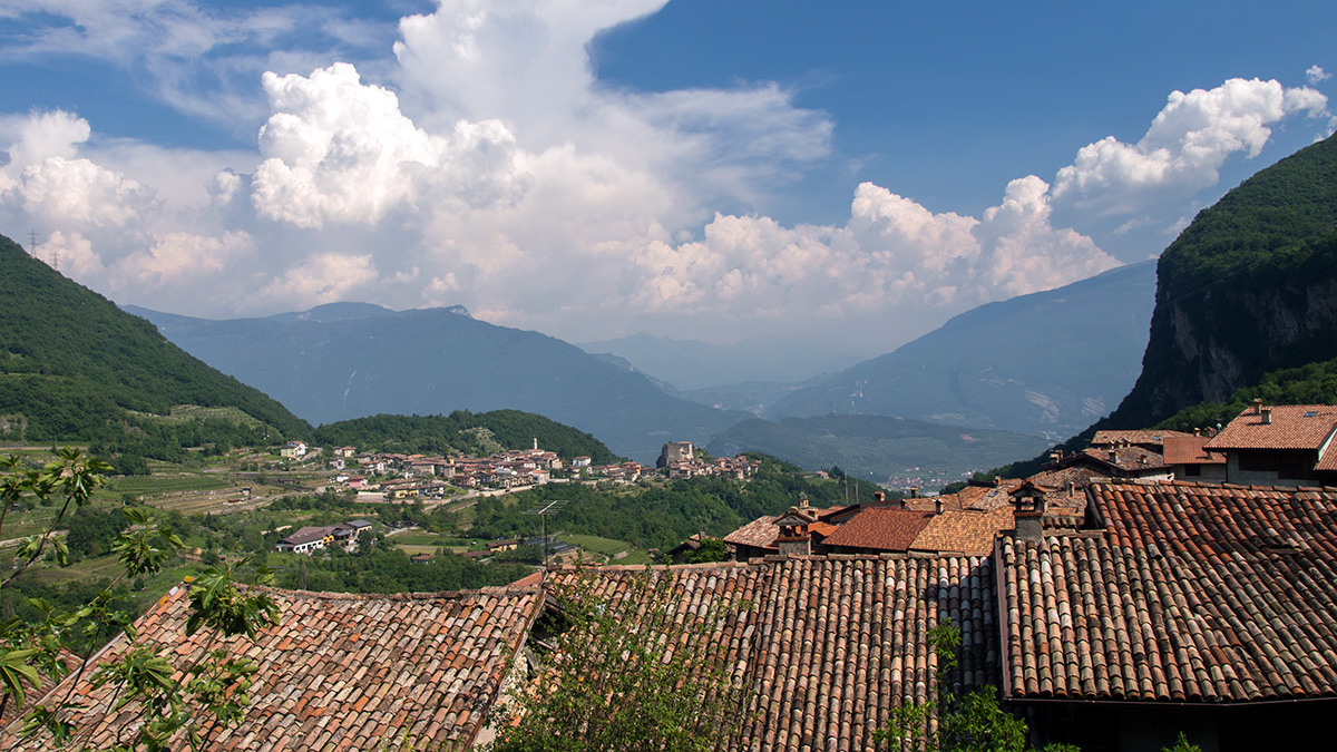 Nazwa:  P6031669.jpg
Wyświetleń: 173
Rozmiar:  388,4 KB