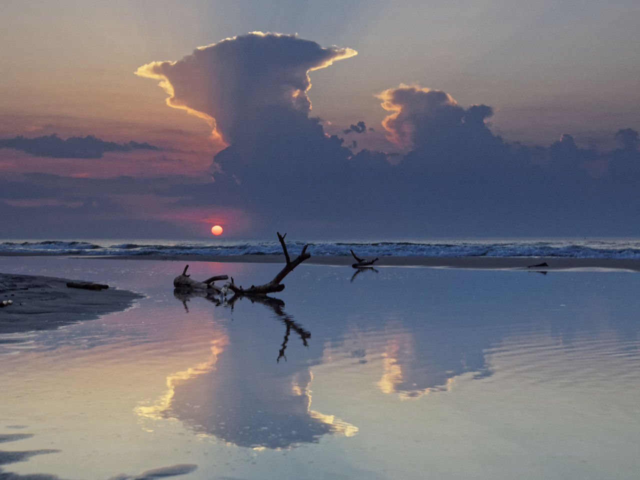 Nazwa:  12062019_TROP9980_DxO.jpg
Wyświetleń: 353
Rozmiar:  119,7 KB