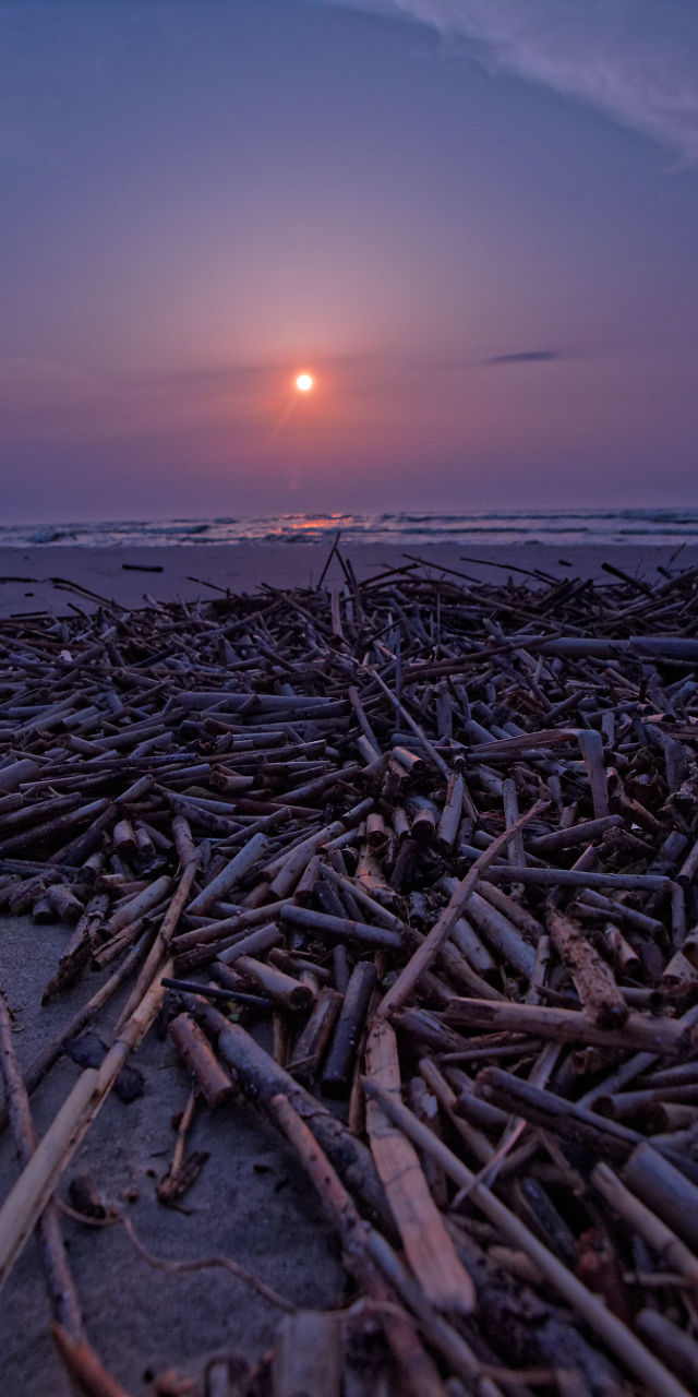 Nazwa:  11062019_TROP9935_DxO.jpg
Wyświetleń: 185
Rozmiar:  125,7 KB