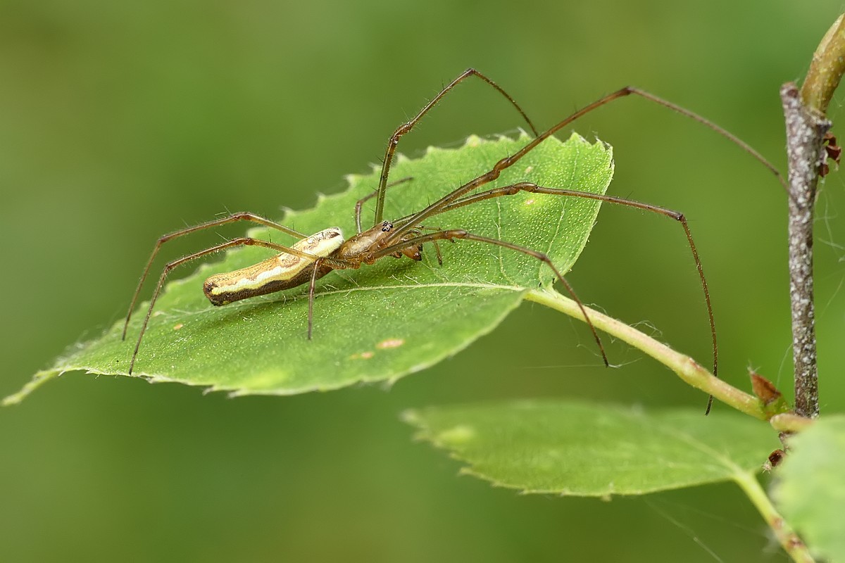 Nazwa:  kwadratnik93632cf.jpg
Wyświetleń: 242
Rozmiar:  139,9 KB