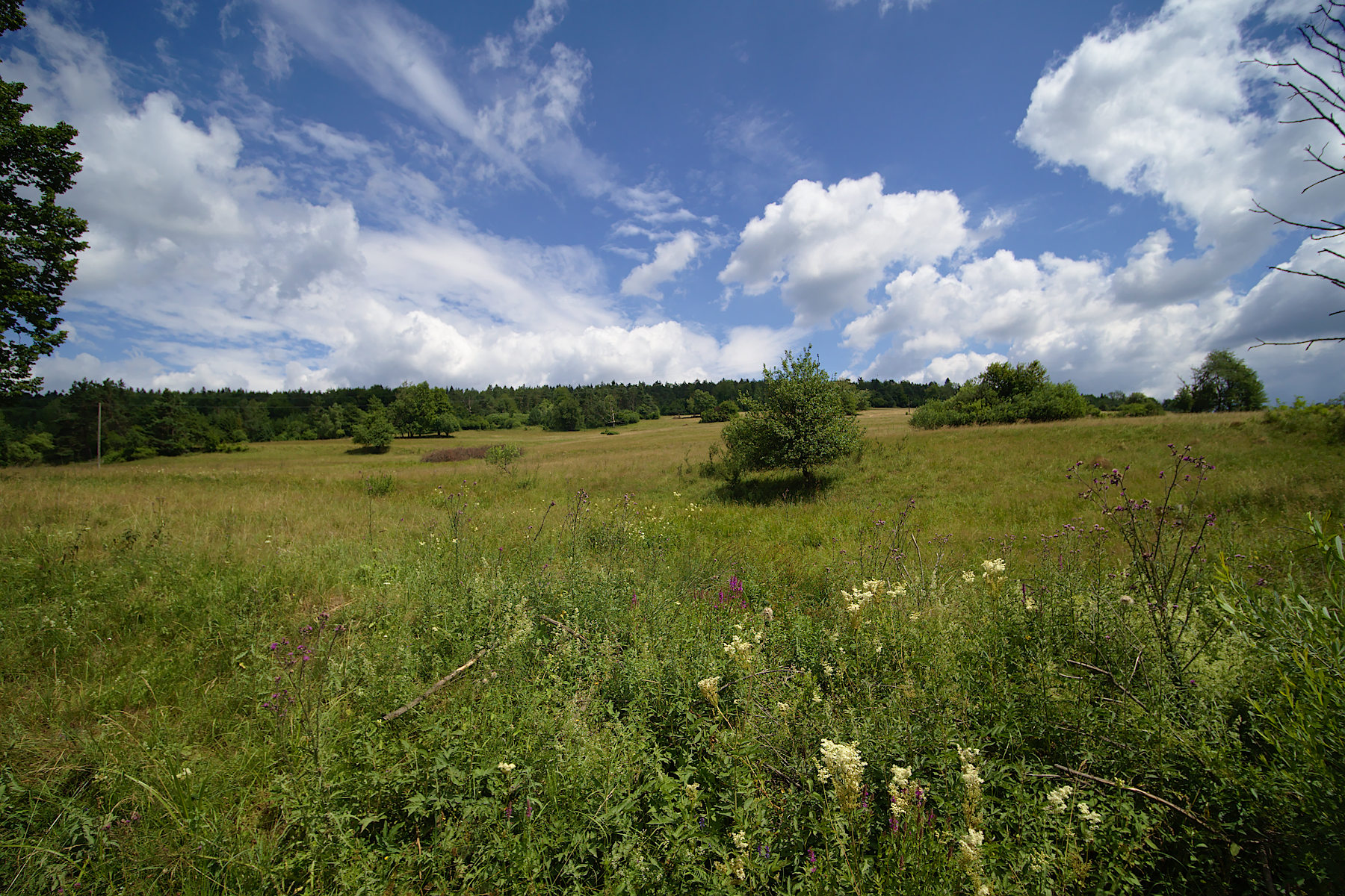 Nazwa:  P7102140.jpg
Wyświetleń: 164
Rozmiar:  733,8 KB