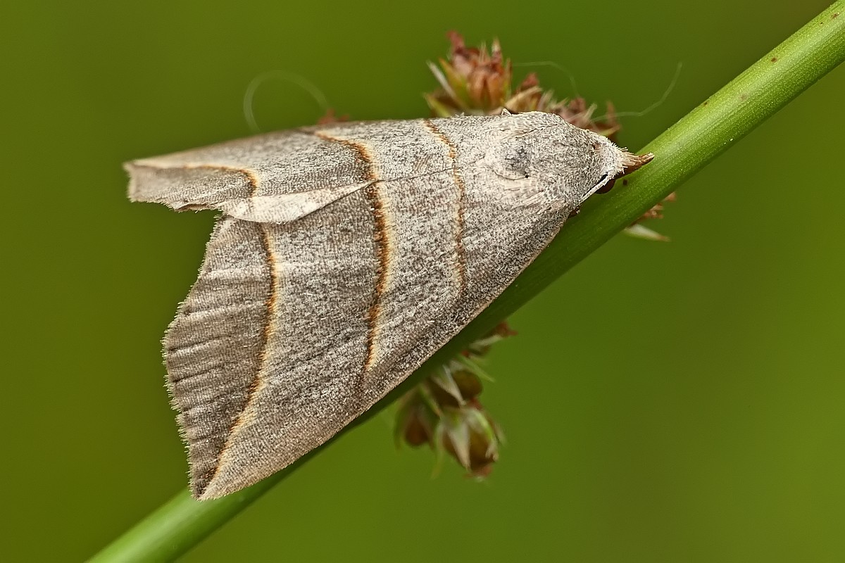Nazwa:  cma115874cf.jpg
Wyświetleń: 257
Rozmiar:  191,3 KB
