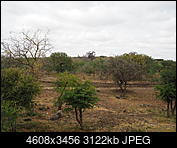 Kliknij obrazek, aby uzyskać większą wersję

Nazwa:	P6240018.JPG
Wyświetleń:	281
Rozmiar:	3,05 MB
ID:	213327