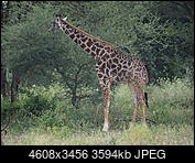 Kliknij obrazek, aby uzyskać większą wersję

Nazwa:	P6240070.JPG
Wyświetleń:	271
Rozmiar:	3,51 MB
ID:	213331