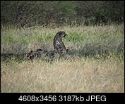 Kliknij obrazek, aby uzyskać większą wersję

Nazwa:	P6240170.JPG
Wyświetleń:	291
Rozmiar:	3,11 MB
ID:	213334