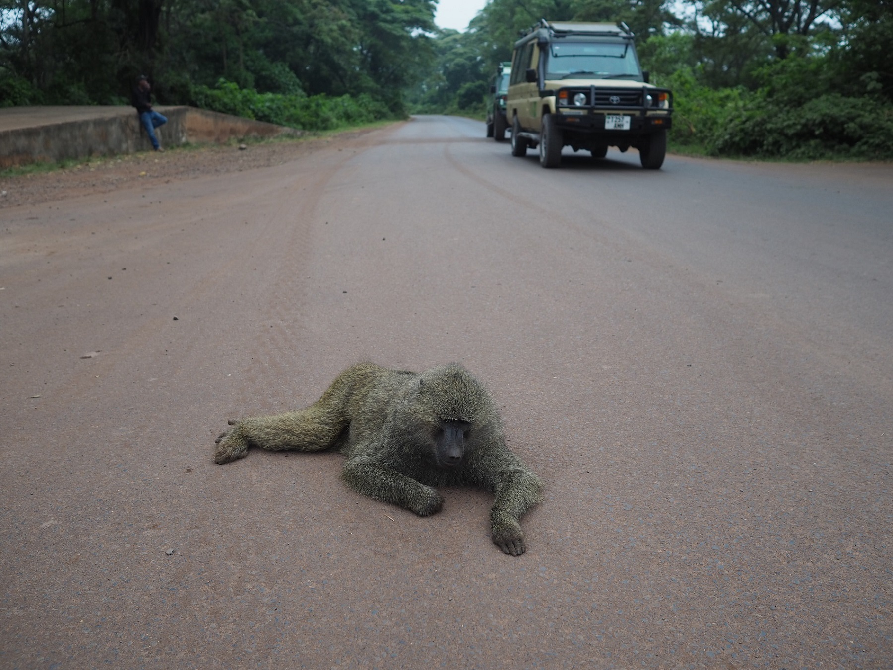 Kliknij obrazek, aby uzyskać większą wersję

Nazwa:	P6250258.JPG
Wyświetleń:	1003
Rozmiar:	729,8 KB
ID:	213357