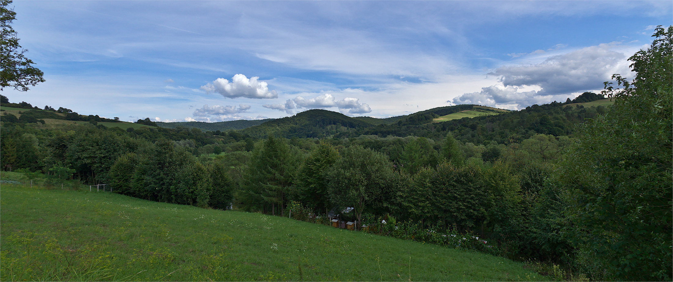 Nazwa:  P8150566-69.jpg
Wyświetleń: 150
Rozmiar:  782,3 KB