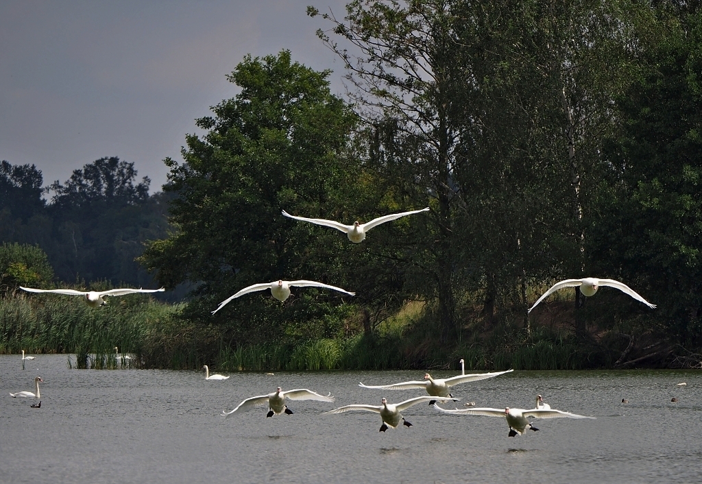 Nazwa:  P8165815c.jpg
Wyświetleń: 135
Rozmiar:  634,5 KB