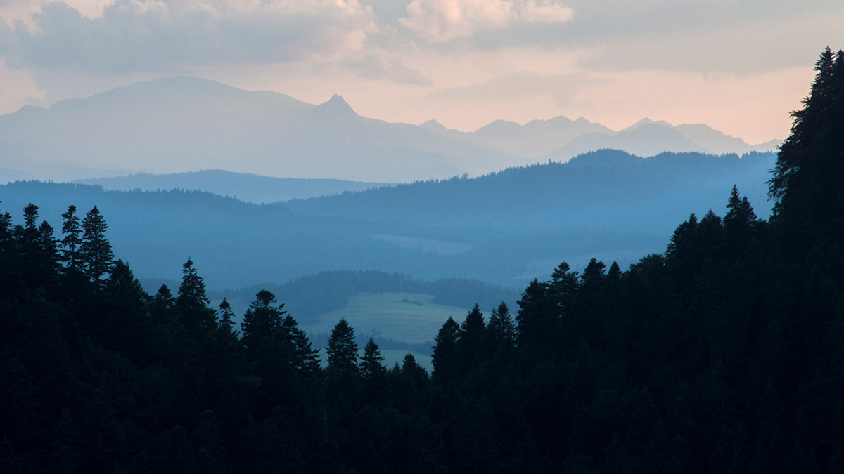 Nazwa:  P8012809.jpg
Wyświetleń: 118
Rozmiar:  118,1 KB